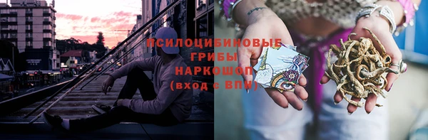 стафф Армянск