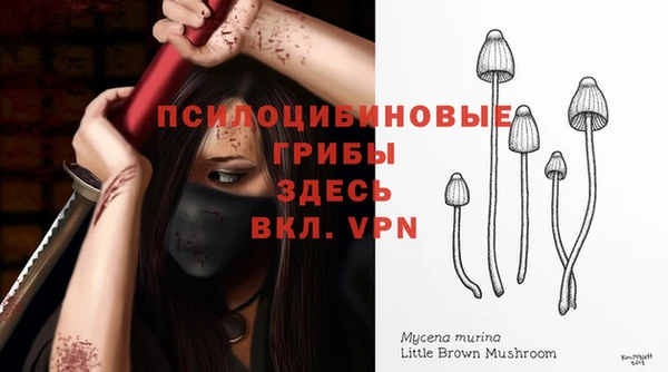 прущий лед Арсеньев